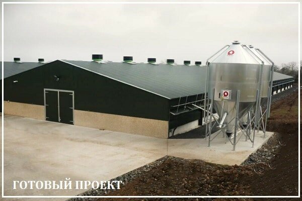 Этапы возведения птицефабрики от завода ВелесТент-кус